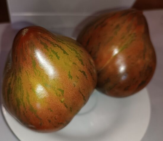 Помидор в Полоску Чански